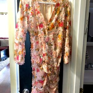 Crowed stopping Sequence dress